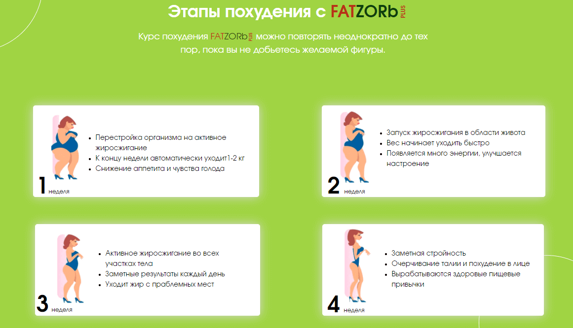Этапы похудения вместе с FATZOrb